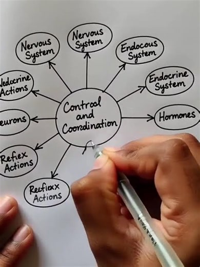 Control and Coordination: Essential Flowchart for Board Exams (class 10th)