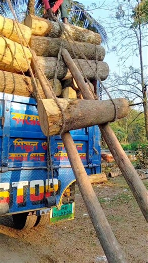 Massive Wood Log Loading on Truck | Heavy Timber Transport Process🪵#Logging#WoodLogs#TimberTruck