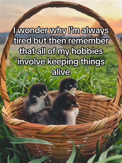 Understanding Farm Life Fatigue