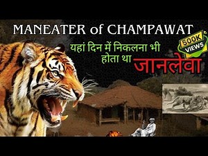 Man Eater of Champawat Tigress that killed 436 People