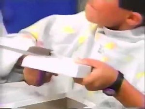 The Barney Bag (If the Shoe Fits...)