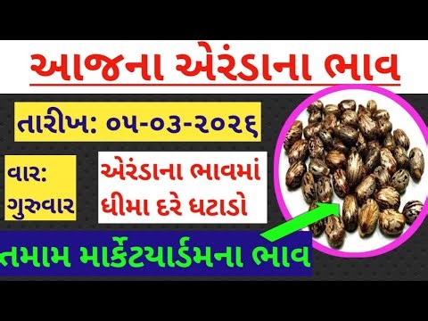 આજના એરંડાના ભાવ - Date.05/03/2026.(ગુરુવાર) Aeranda na bhav 2026. Information about Arenda's price