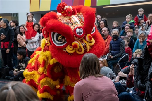 20th anniversary of ChinaFest returns to VMFA for Chinese Lunar New Year