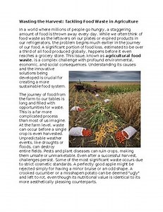 Food Waste in Agriculture in Agriculture Worksheet for SubPlan & Homework