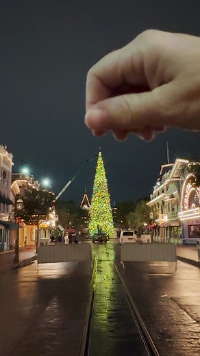 Holiday magic activate at #Disneyland 🎄✨ #Disney #Holidays #HolidayDecor #BTS