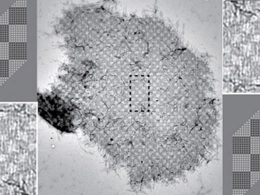 Seed-dependent crisscross DNA-origami slats