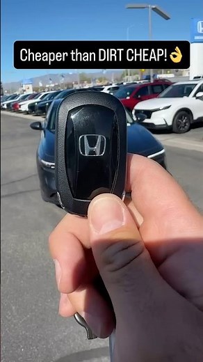 Cheaper than DIRT CHEAP!