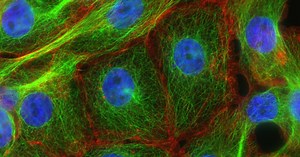 De las pandemias a la crisis climática: 5 grandes desafíos de la ciencia en la actualidad