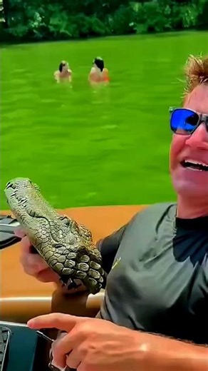 Remote Control Crocodile—Real or Fake? 🤔🐊
