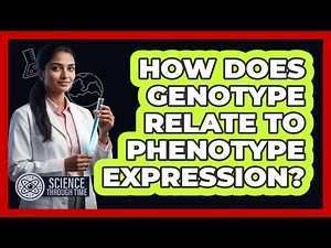 How Does Genotype Relate to Phenotype Expression?
