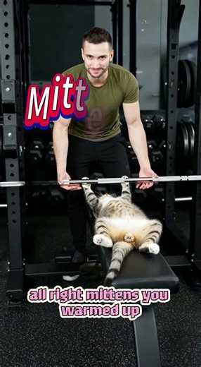 How to get your 🐱 to work out#fitness #cats #ai #training #abstractart