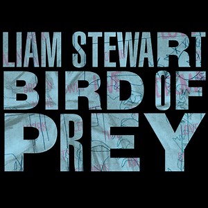Liam Stewart - Bird Of Prey