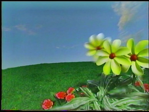 A spider! 🕷️ #vhs #foundfootage #nostalgia #childhood #spider