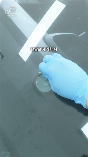스타리아 자동차 앞유리 돌빵 유리 복원