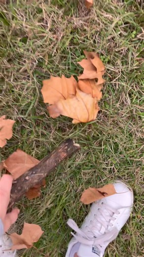 The way she throws the stick at me! 😆🫣😅 | Amanda Townsend