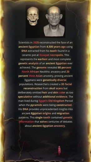 Old Kingdom Period Genome Pyramid Builder Era