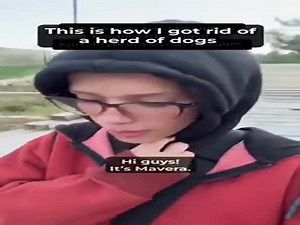 How To Protect Yourself From Dogs  (VIDEO)