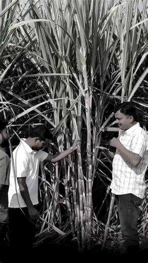 value addition #facts #apnabalvant #bussiness #shorts #trendingreels