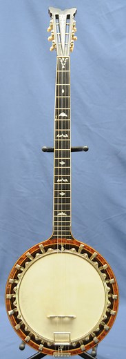 Zither Banjo