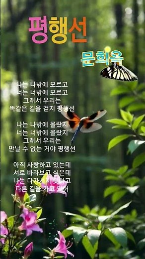 평행선 #문희옥 #문희옥노래모음 #트로트 #노래