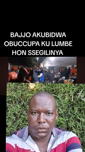 pollin 256 (@pollypollins2)’s videos with original sound - pollin 256