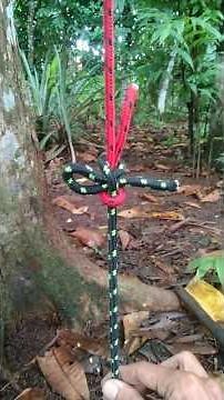 A Great Knot - Easy to Tie and Untie! #knot #shorts