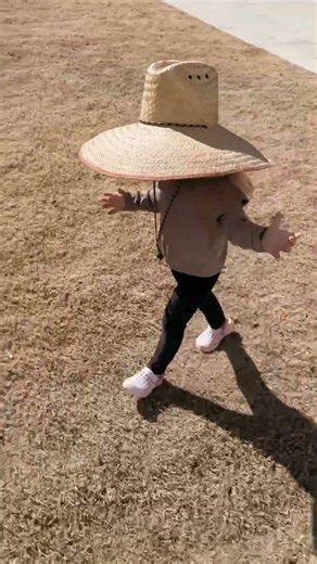 Planting Ranunculus for the First Time - My Honest First-Timer Experience
