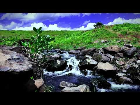 Romantic Rock Waterfall – Flowing Love & Nature’s Symphony” 🌿💧❤️