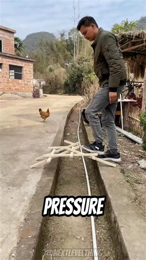 72K views · 281 reactions | Da Vinci’s Bridge Reborn — Built with Just 9 Wooden Beams - #shorts #usa #facts #factsdaily #fypシ #factsoflife | Next Level Thing | Facebook