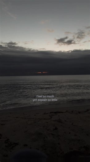 Understanding Deep Emotions Through Minimal Expression