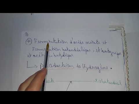 Microbiologie svi s6 partie : 4 fermentation acide mixte et qyestion