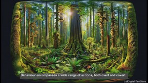 Behaviour in biology