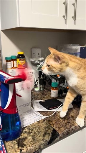 Groot fighting with the foam fan panels