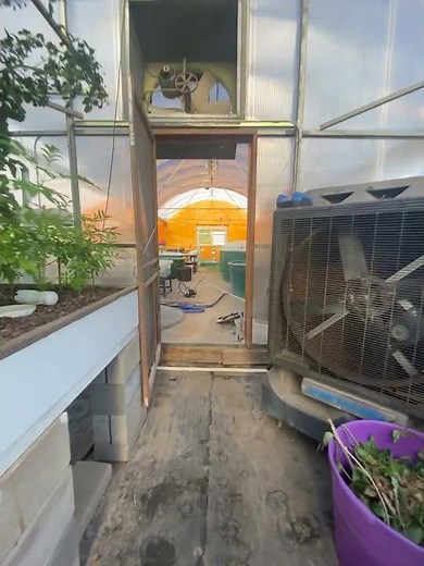 A quick walk through one of our aquaponic greenhouses!