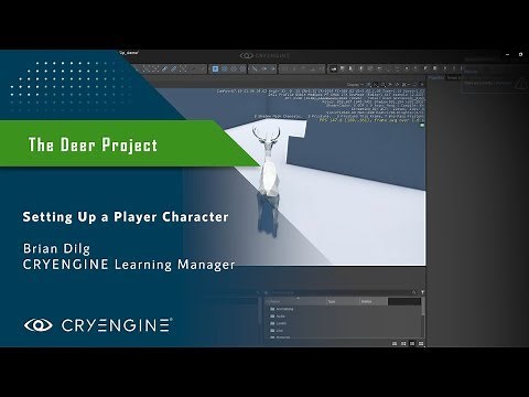 Setting up a Player Character in CRYENGINE [FBX]