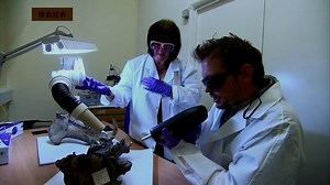 古生物保护小组成员要利用何种手段对化石进行养护？