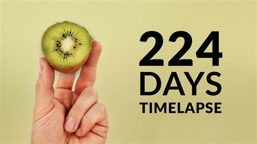 Amazing kiwi growing time-lapse (224 days)