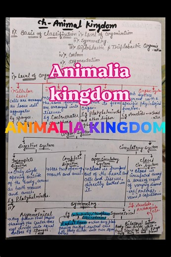 Animal Kingdom 🐾 | Class 11 Biology Handwritten Notes #Tricks & Examples #cbseclass11 #neet#notes