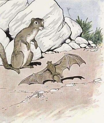 The Bat and The Weasels - Fables of Aesop