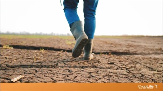 Plant Biotechnology and Food Security | CropLife South Africa