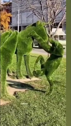 You Won’t Believe What These People Can Do 😱 #amazingacts #amazingpeoplecompilation #awesomepeople