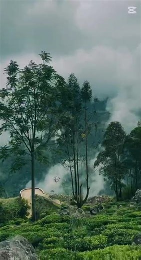 Exploring Nonpareil Estate & Baker's Bend: The Most Beautiful Road Trip in Sri Lanka