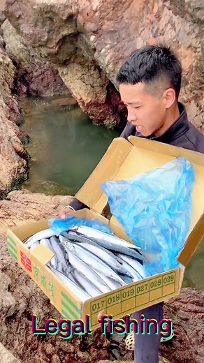 #fyp #outdoor #eel #foryou
