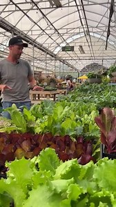 50K views · 4.8K reactions | Once your summer vegetables are done, turn the garden bed over and plant a new crop for fall! Check out all the crunchy and fresh veg with Bryan…. | West Coast Gardens | Facebook