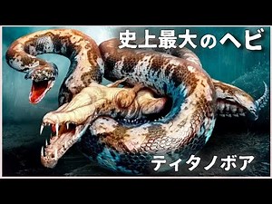 [Slow commentary] The mystery of the gigantism of Titanoboa, the largest snake in history