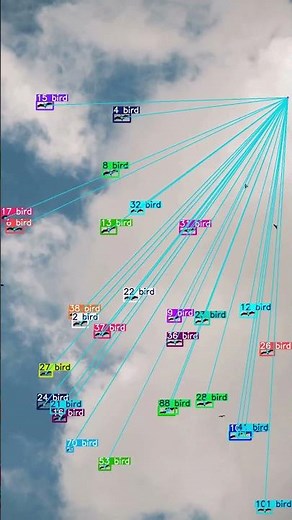AI Tracks Birds in the Sky! 🐦✨ | Real-Time Detection #Shorts #shorts