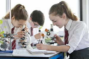 Whole Education Lab Classrooms | A Hands-On Action Research Framework — Whole Education