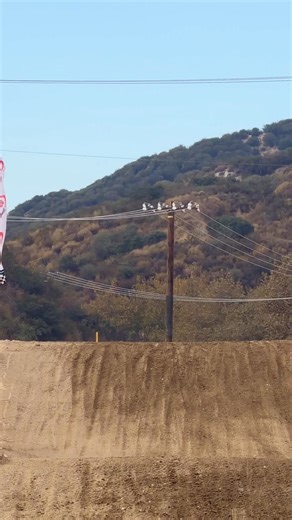 Word vet championship 2025 | Rhainiel Gabac