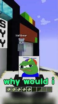 MINECRAFT WORDLE With a Friend — WE FAILED 😭⛏️