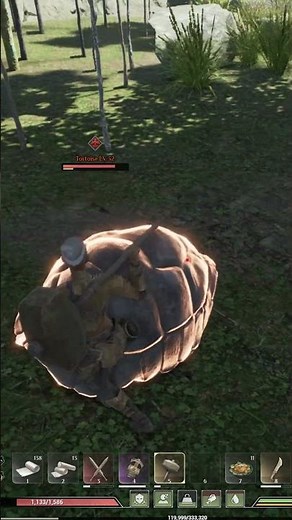 How to Fight Turtles in Soulmask